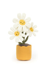 Amuseable Daisy
