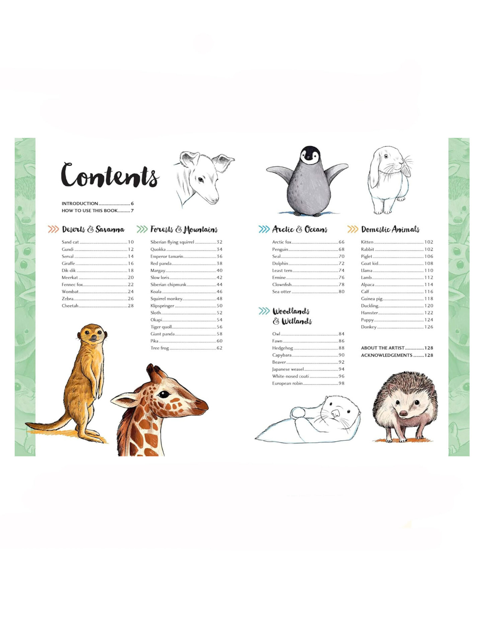 10 Step Drawing: Cute Animals