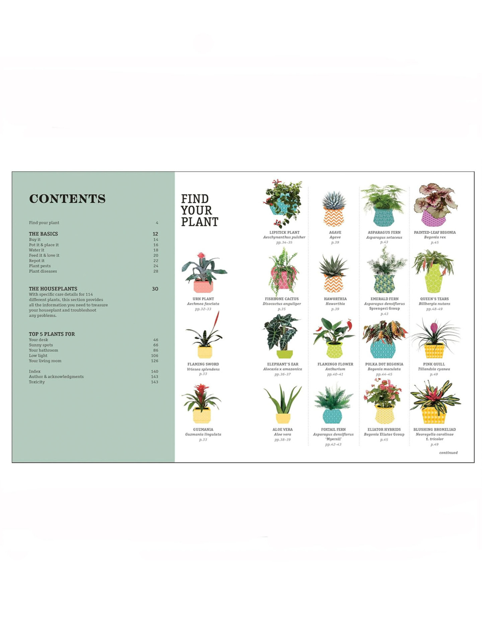 How Not to Kill Your Houseplant: New Edition