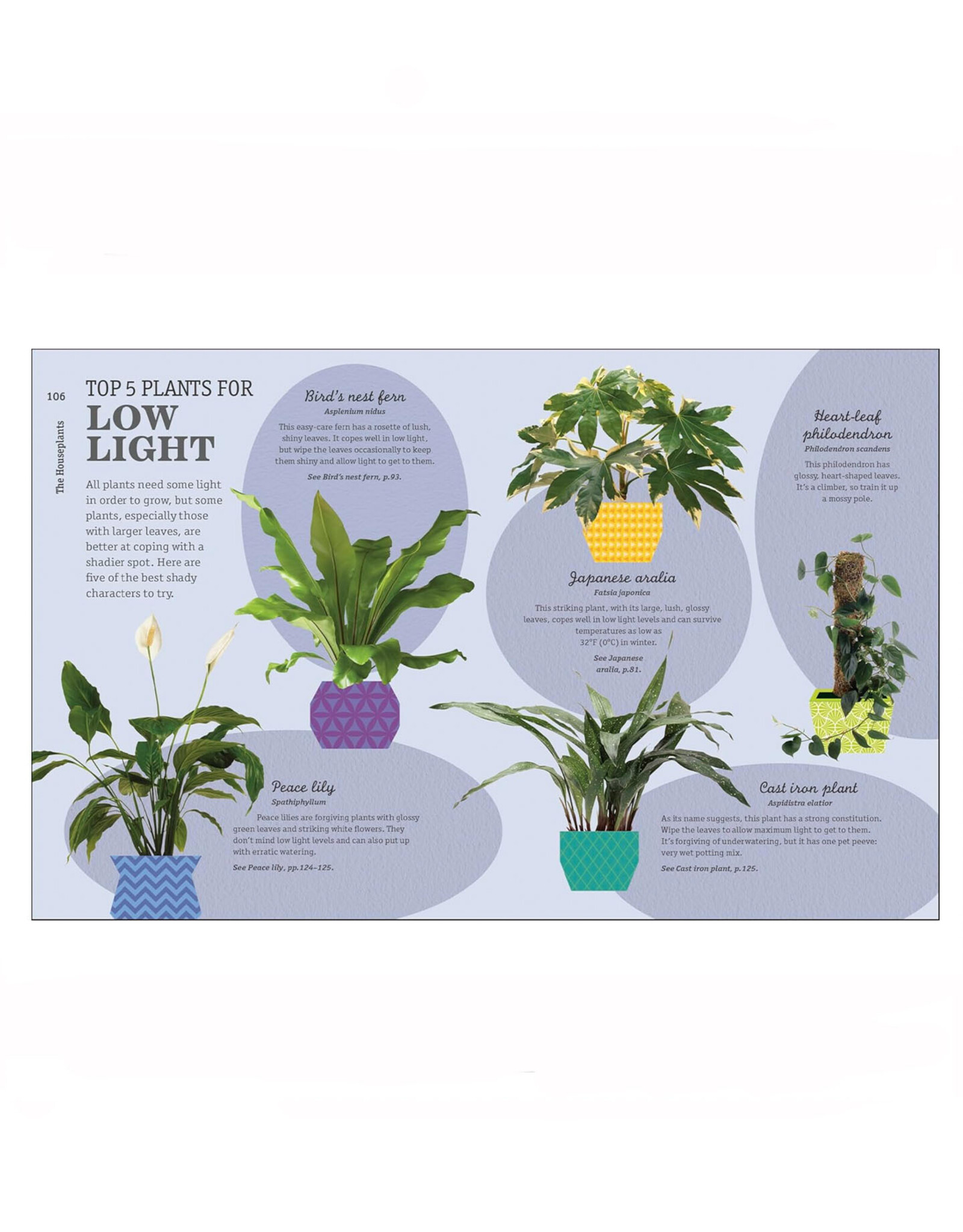 How Not to Kill Your Houseplant: New Edition