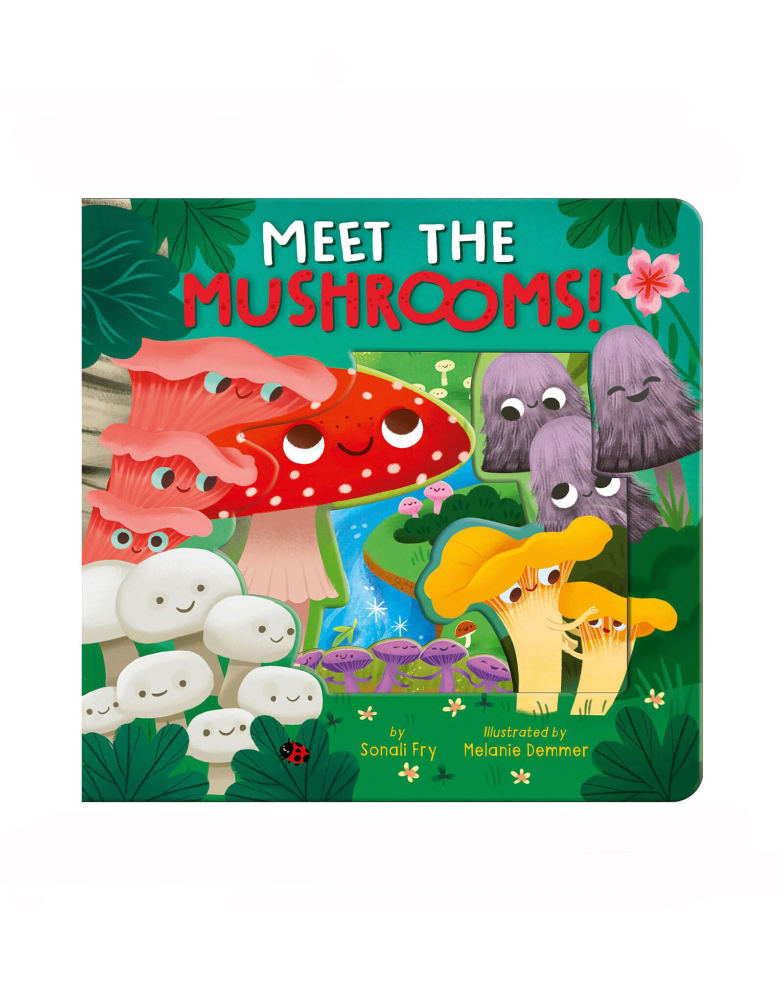 Meet the Mushrooms!