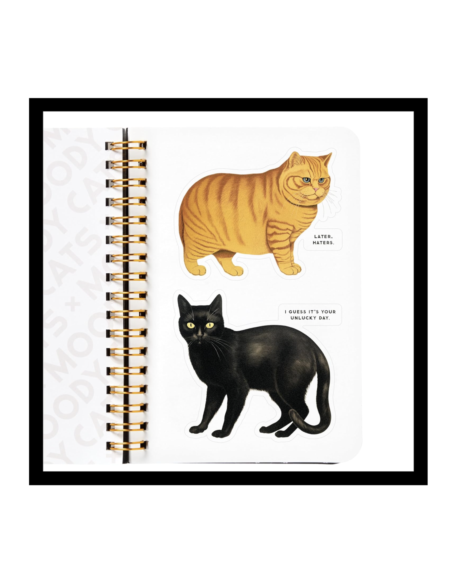 Moody Cats Sticker Book