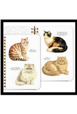 Moody Cats Sticker Book