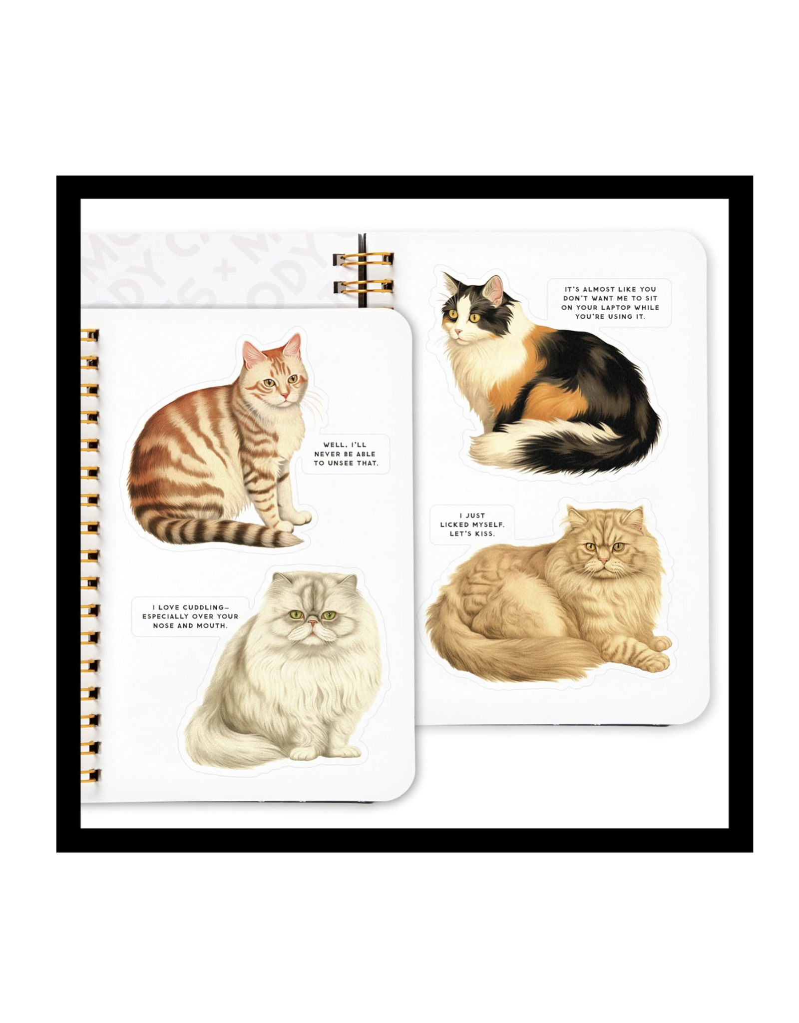 Moody Cats Sticker Book