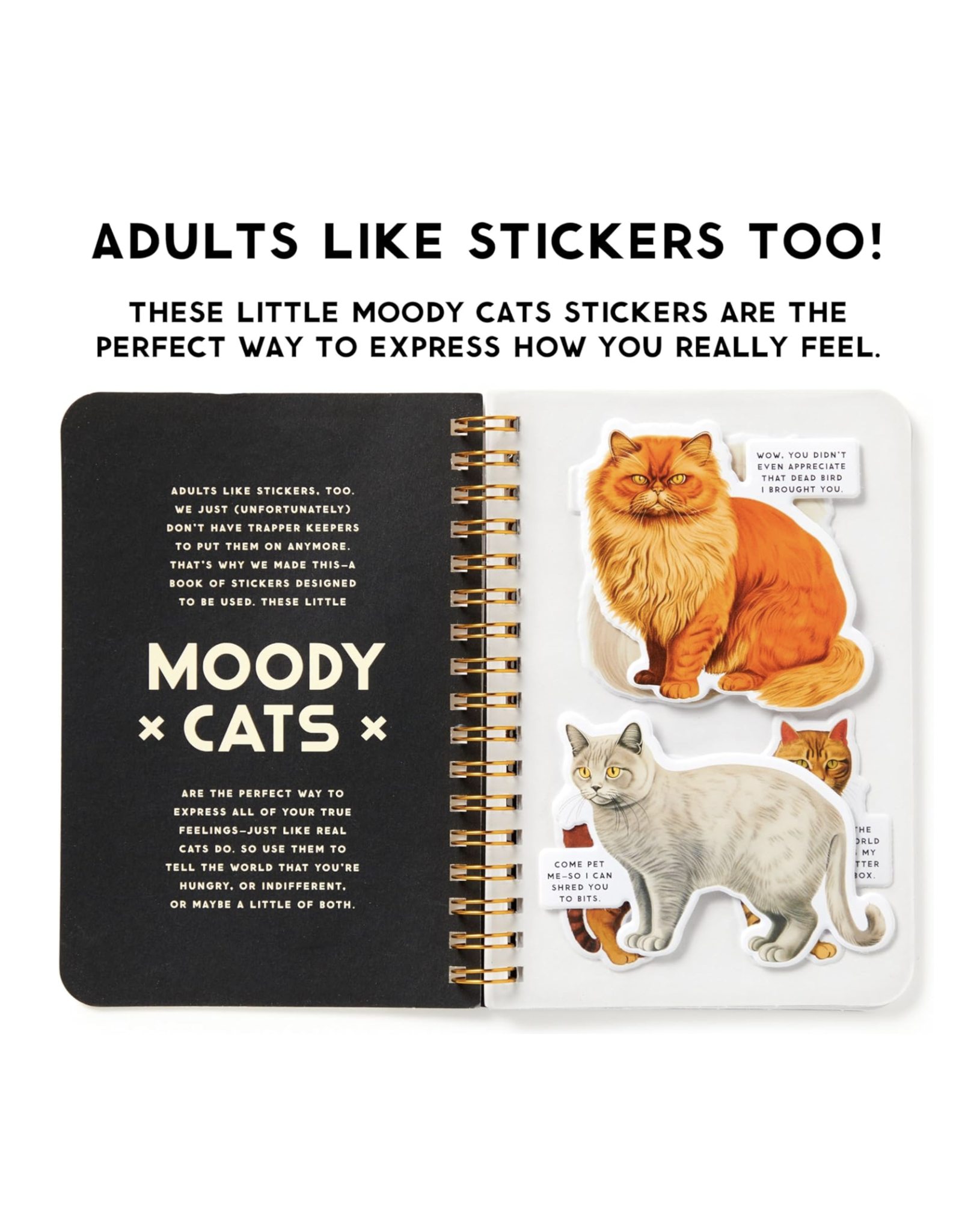 Moody Cats Sticker Book