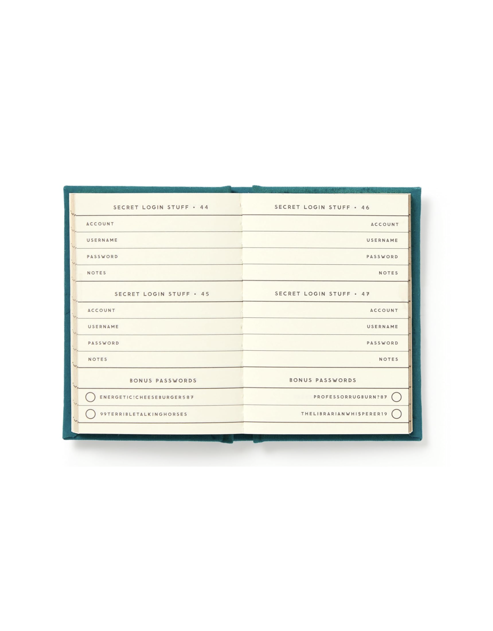 Definitely Not My Passwords Tiny Diary