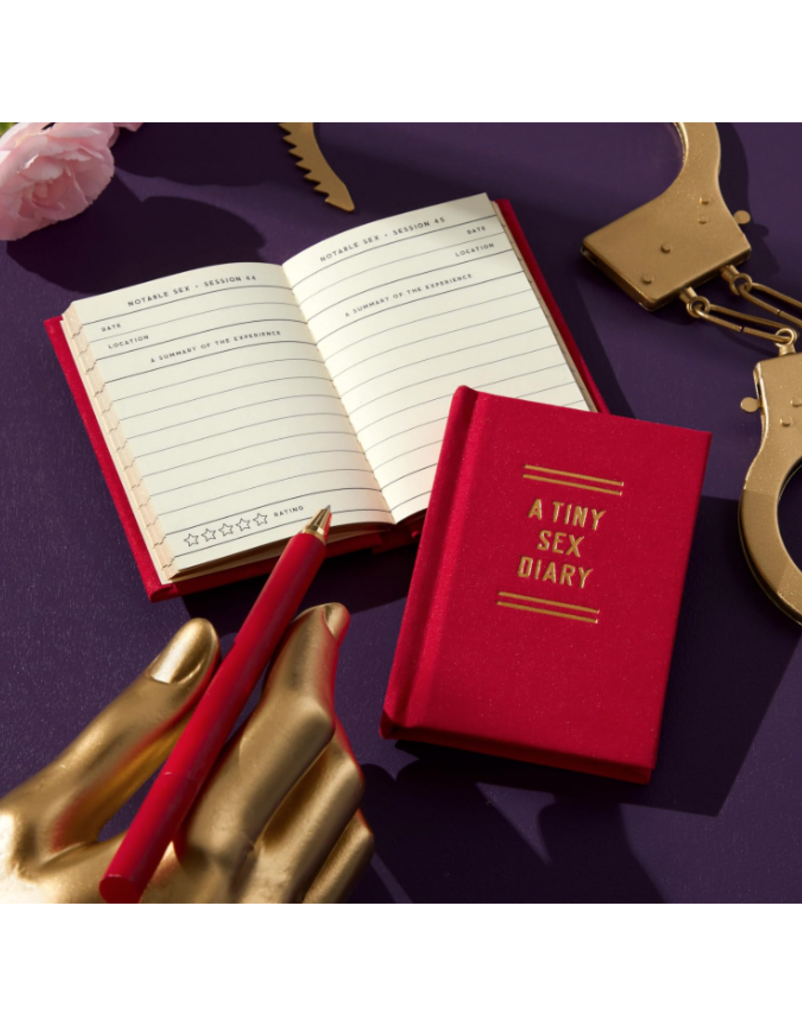 A Tiny Sex Diary