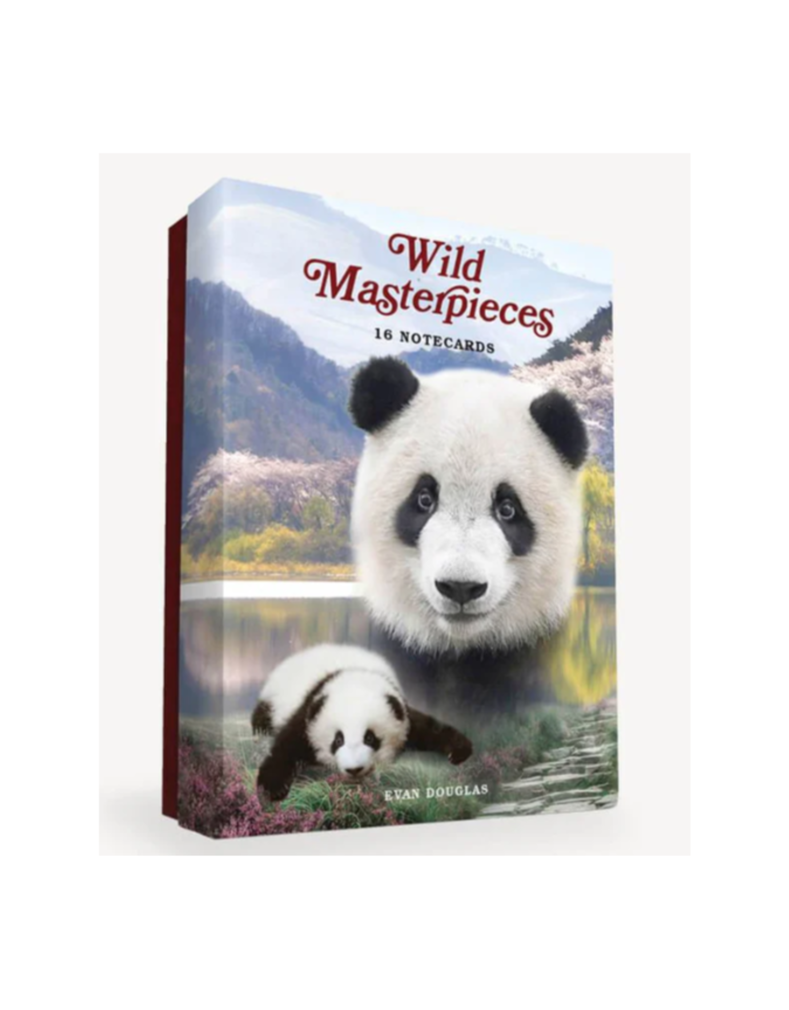 Wild Masterpieces Notecards