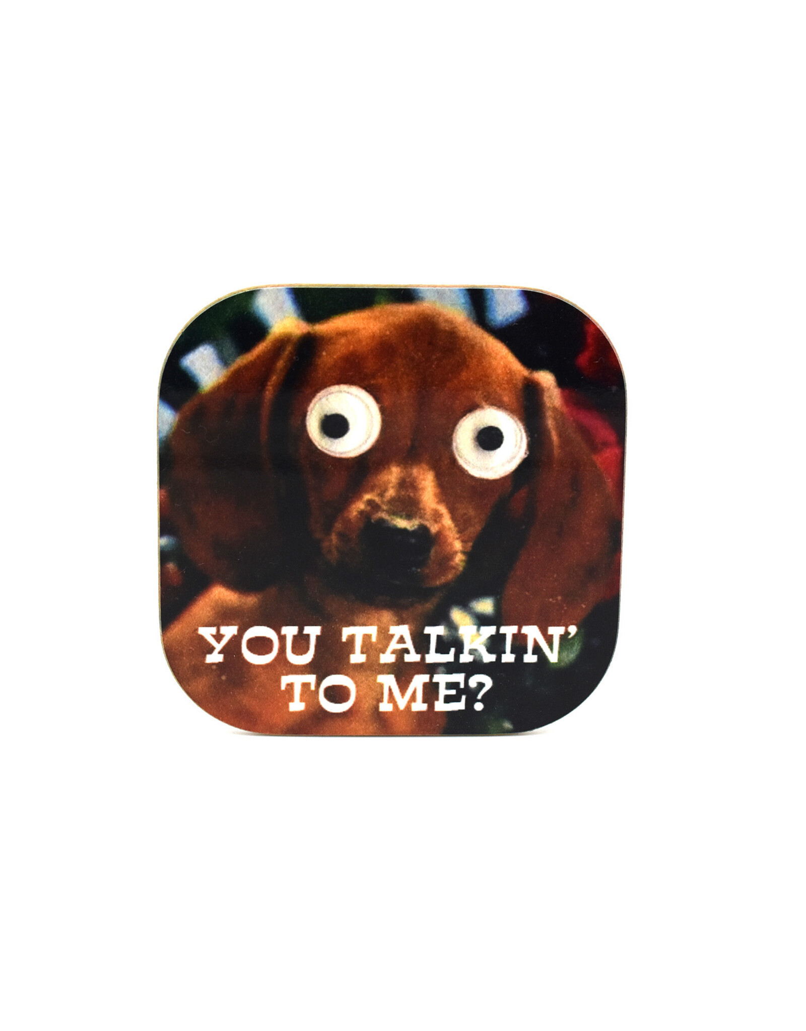 You Talkin To Me? Dog Coaster