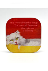 I Only Worry About 2 Things Coaster