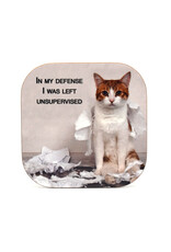 In My Defense, I was Left Unsupervised Coaster