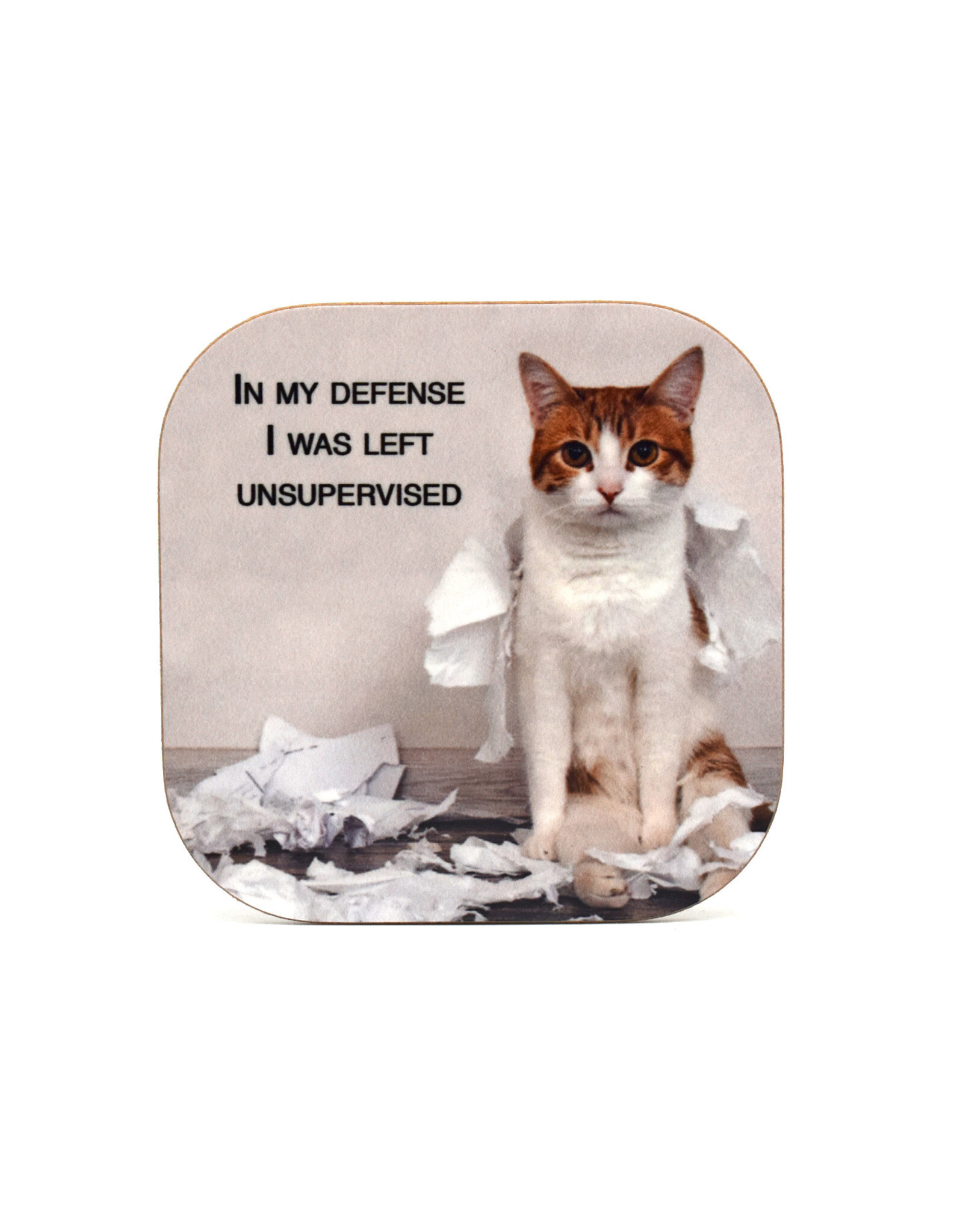 In My Defense, I was Left Unsupervised Coaster