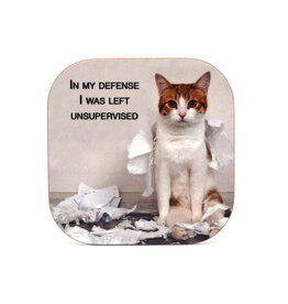 In My Defense, I was Left Unsupervised Coaster