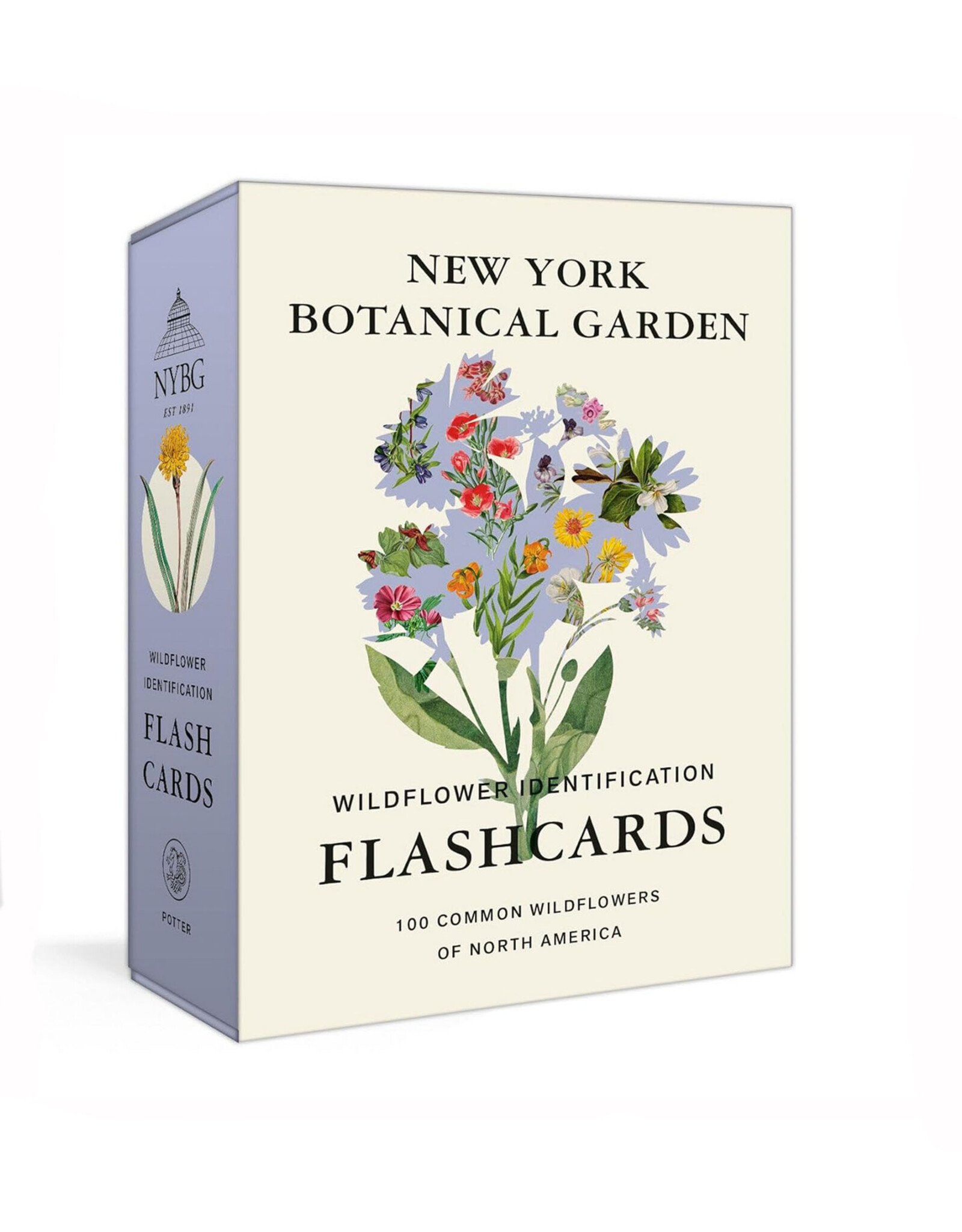 New York Botanical Garden Wildflower Identification Flashcards