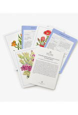 New York Botanical Garden Wildflower Identification Flashcards
