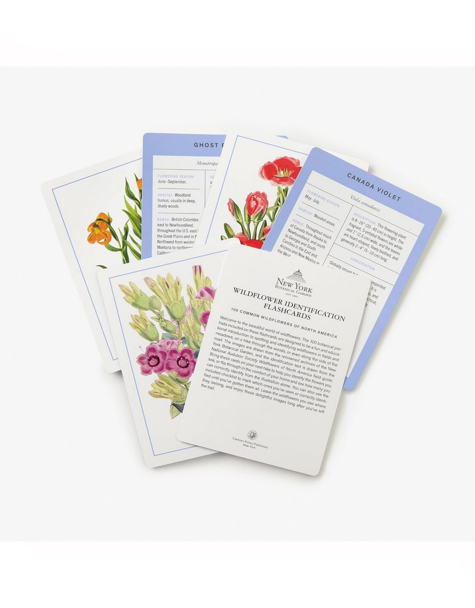New York Botanical Garden Wildflower Identification Flashcards