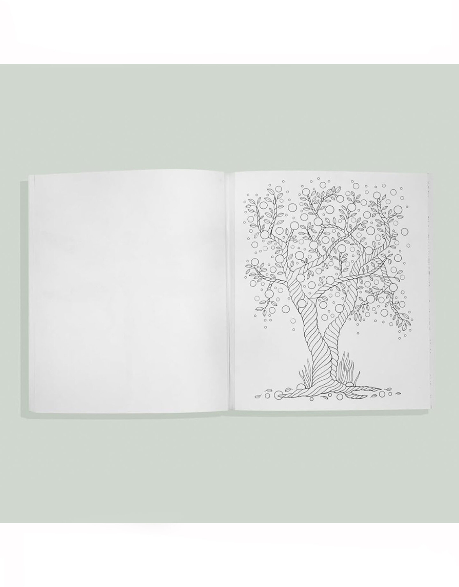 Soul of the Woodland: A Stress Relieving Adult Coloring Book