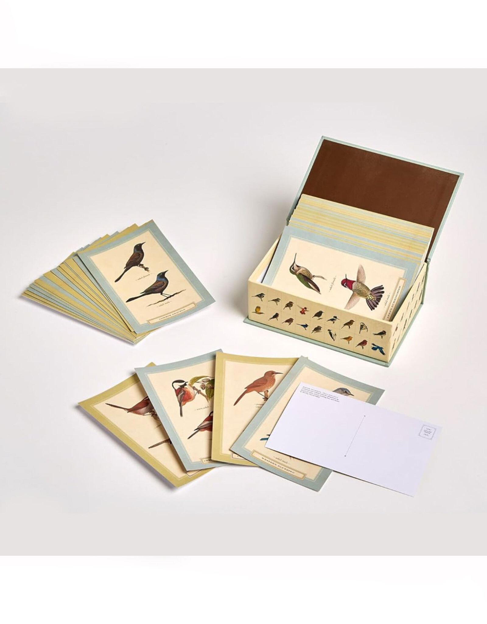 Sibley Backyard Birding Postcards