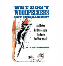 Why Don't Woodpeckers Get Headaches?