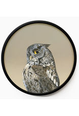 Wings on Wood - Screech Owl