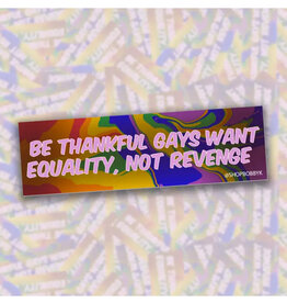 Gays Want Equality Not Revenge Bumper Sticker