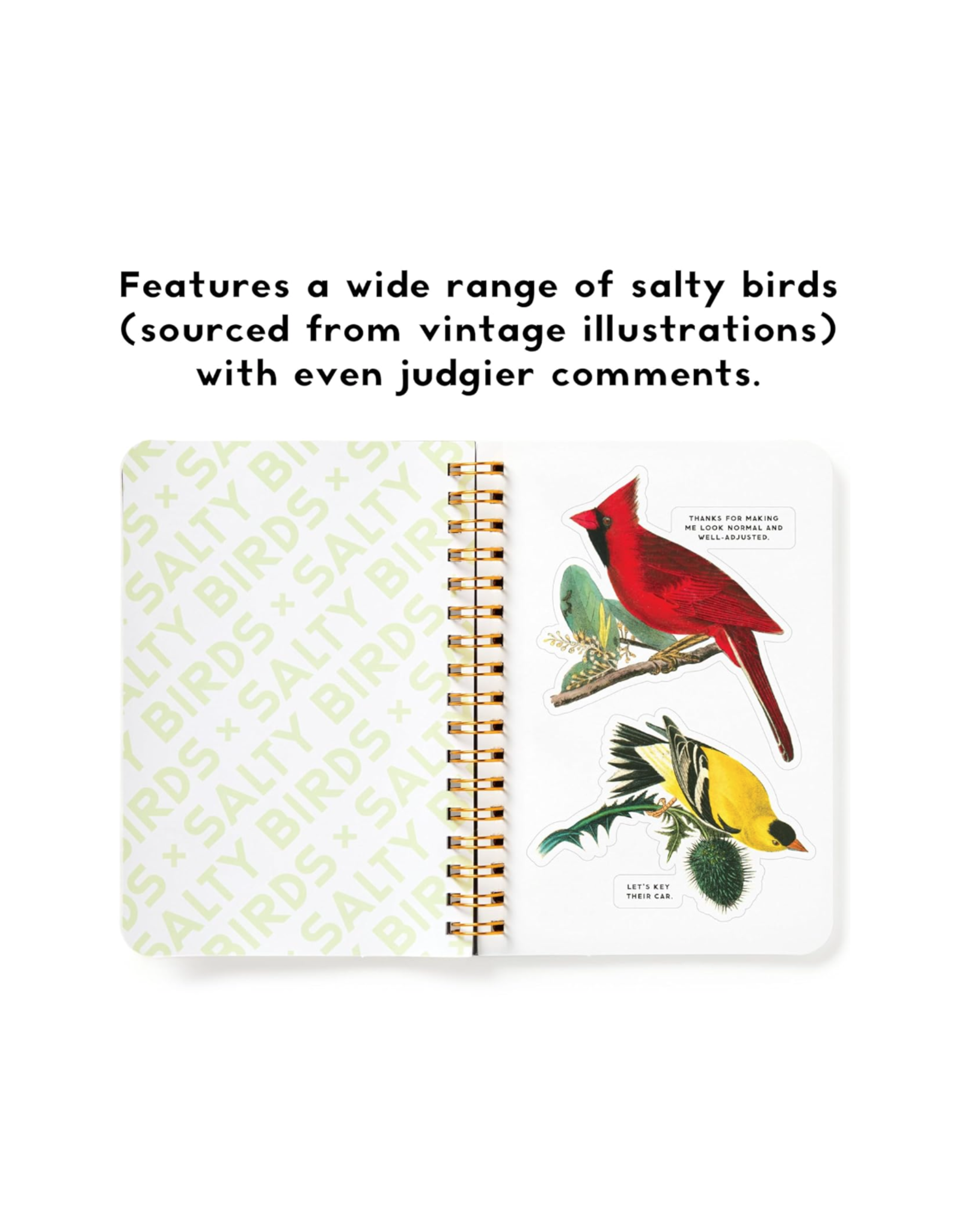 Salty Birds Sticker Book