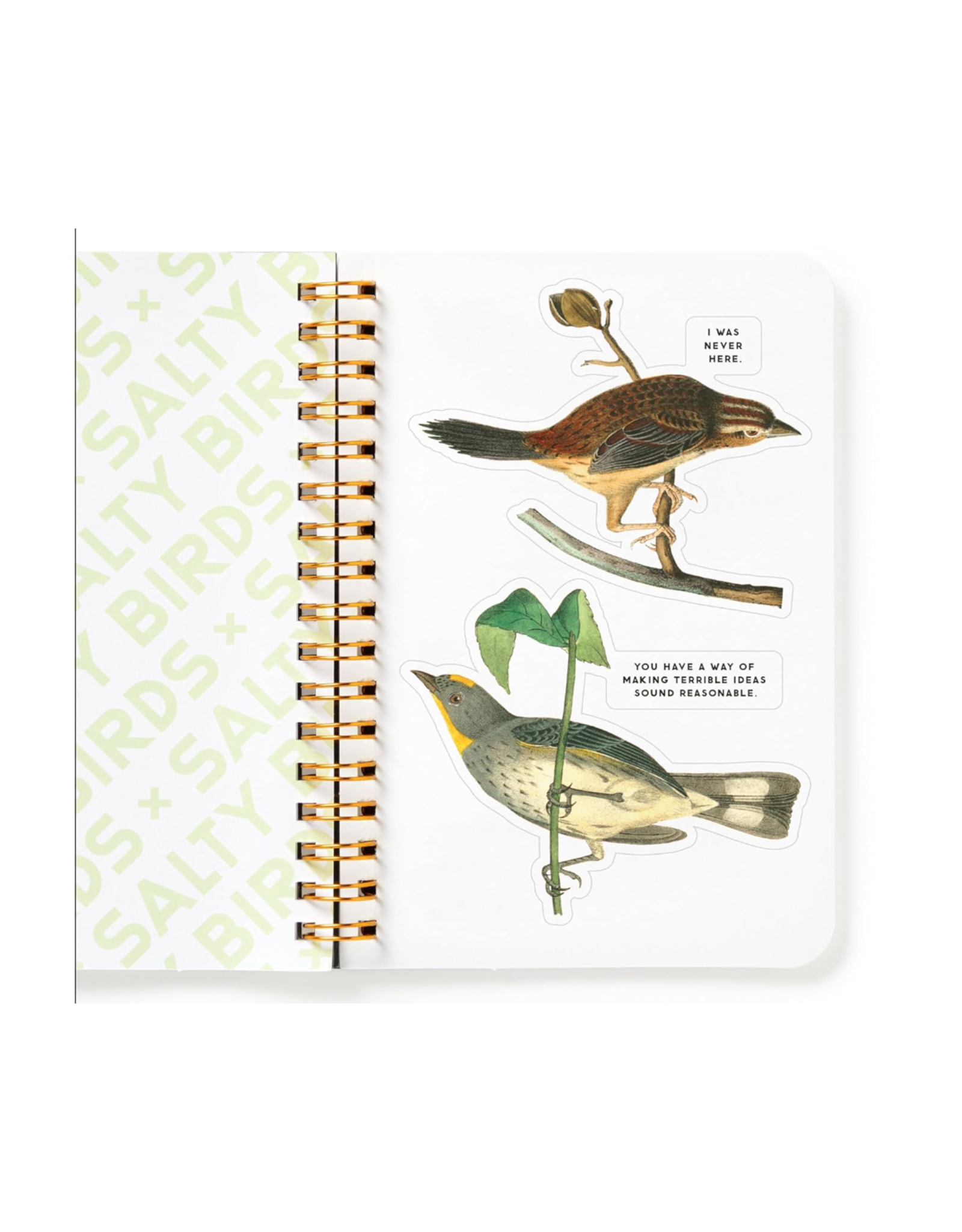 Salty Birds Sticker Book