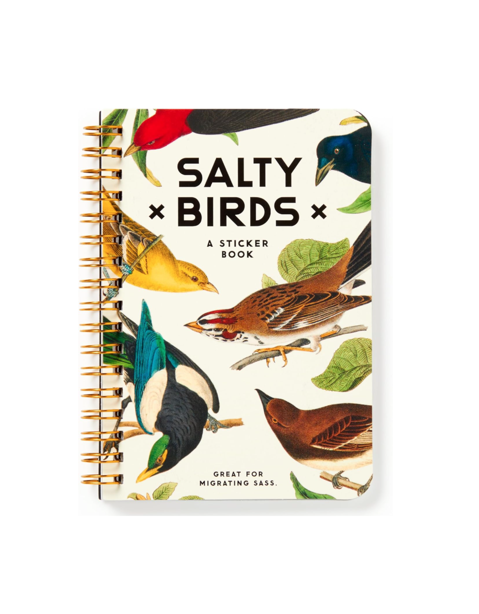 Salty Birds Sticker Book