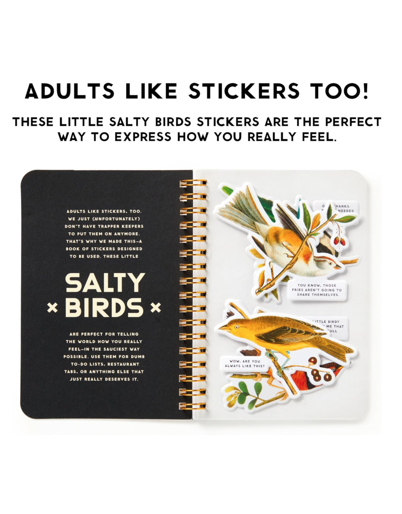 Salty Birds Sticker Book