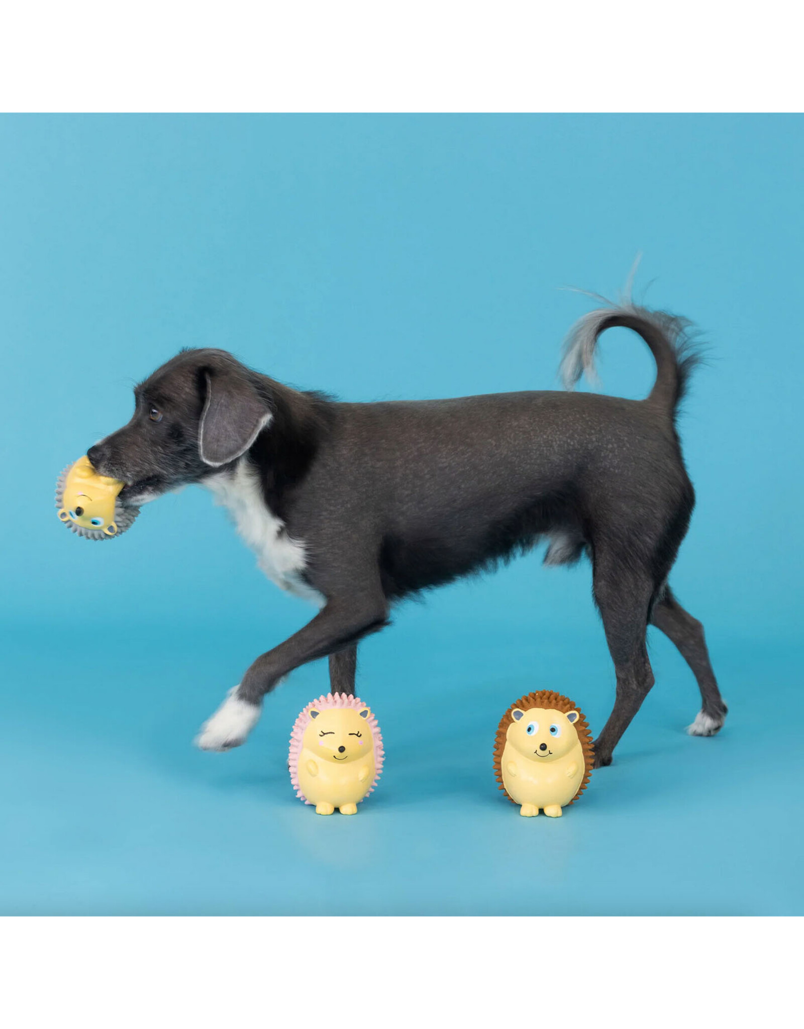 On a Roll 3 Piece Hedgehog Latex Dog Toy Home