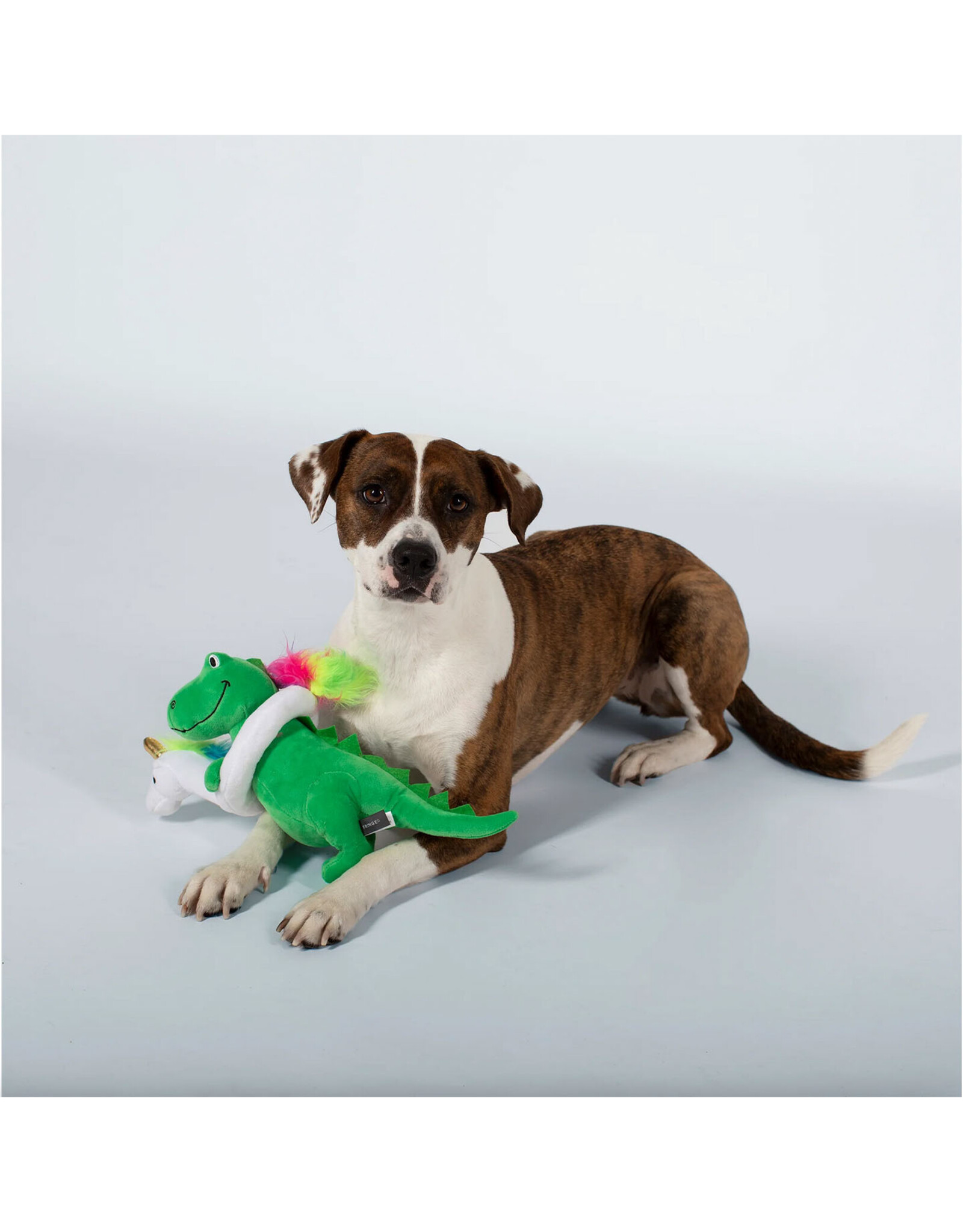Summer T-Rex Plush Dog Toy