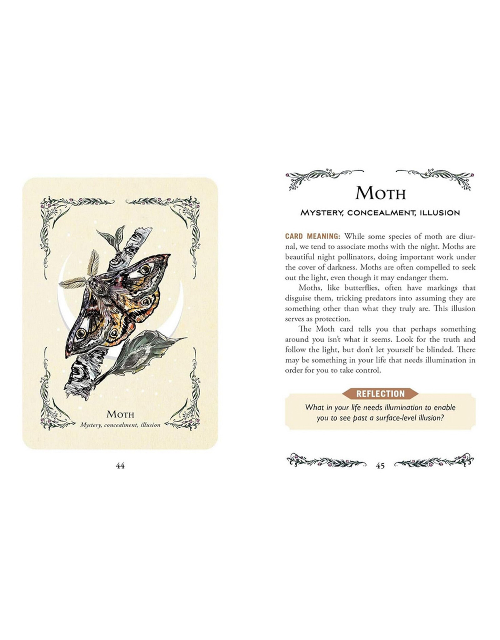 The Green Witch's Oracle Deck