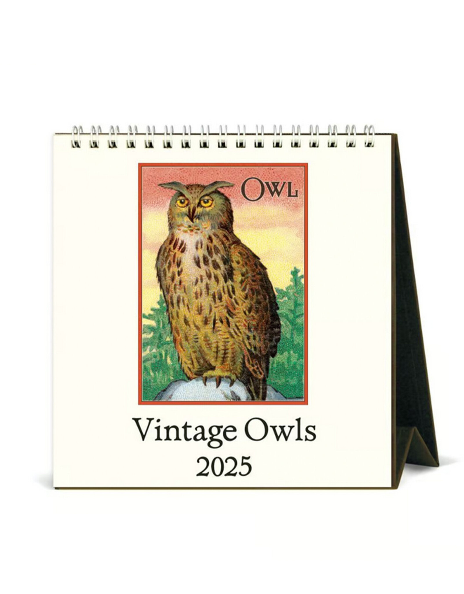 2025-desk-calendar-vintage-owls-home