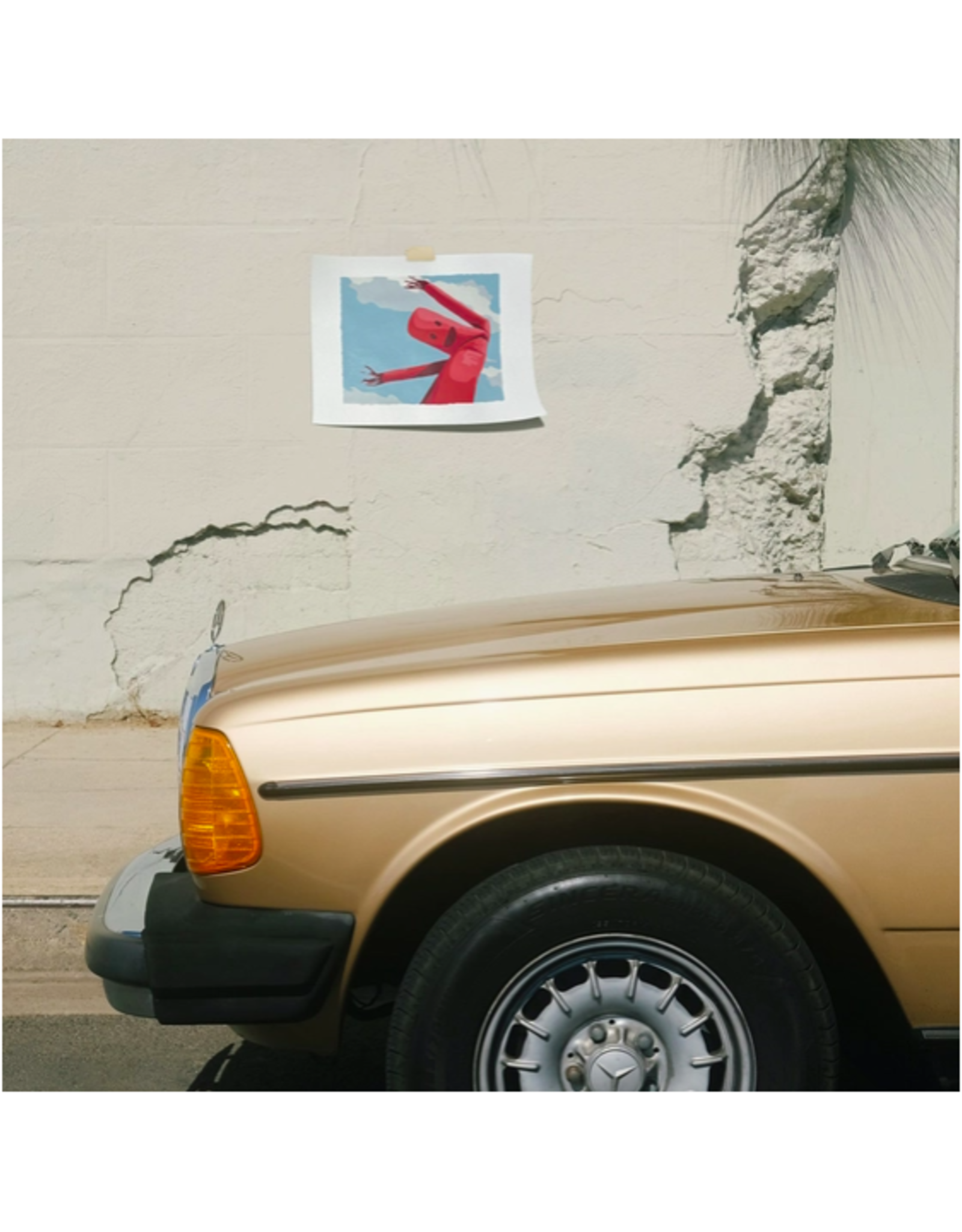 Roadside Vignette Tube Man - Paint By Numbers  Kit