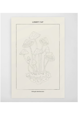 Mushroom Botanical - Paint By Numbers Kit