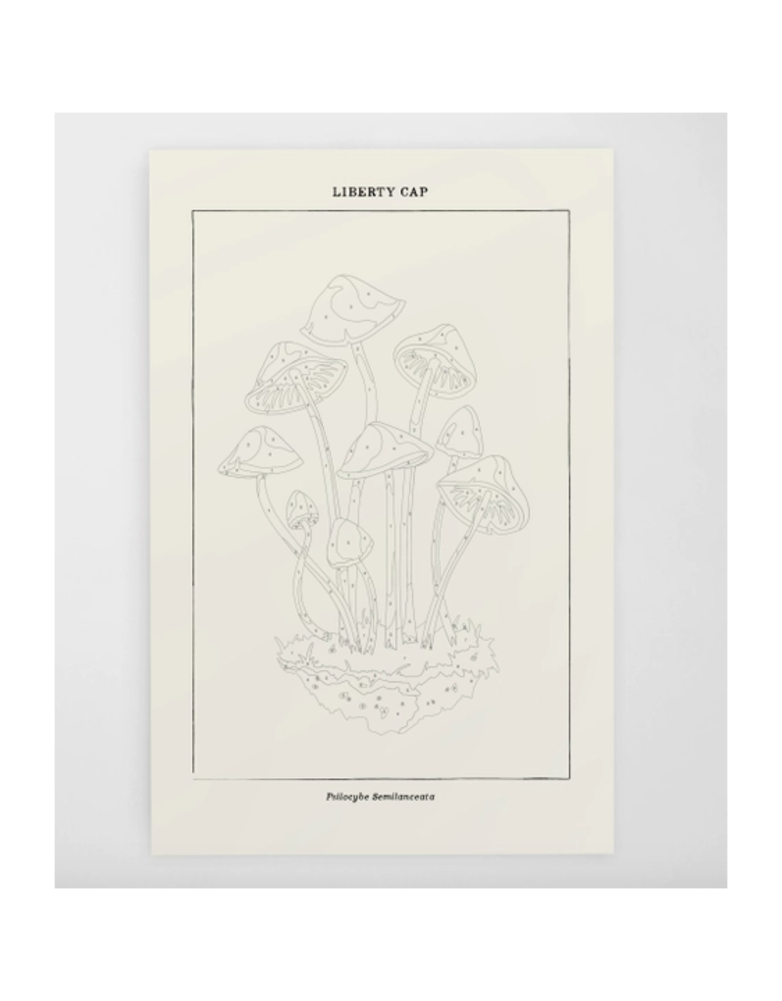 Mushroom Botanical - Paint By Numbers Kit
