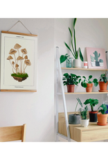 Mushroom Botanical - Paint By Numbers Kit