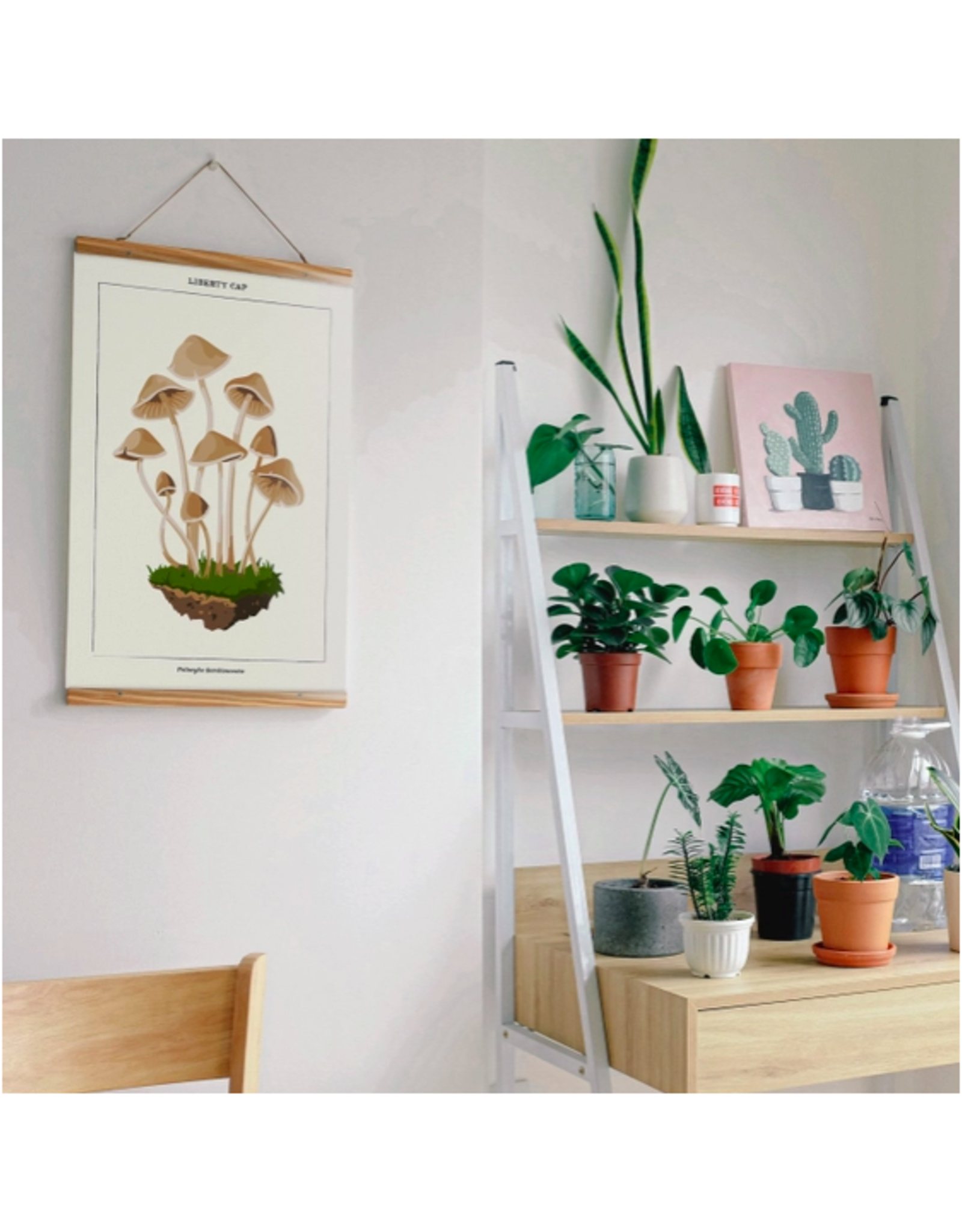 Mushroom Botanical - Paint By Numbers Kit