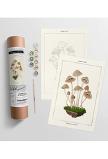 Mushroom Botanical - Paint By Numbers Kit