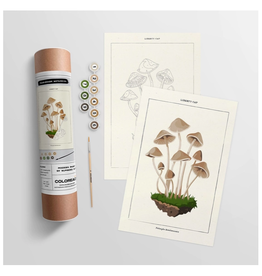 Mushroom Botanical - Paint By Numbers Kit
