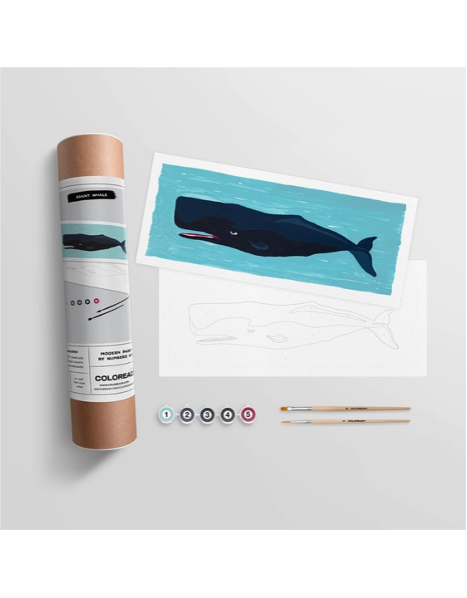 Giant Whale Paint By Numbers Kit Home