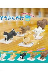 Cleaning Dogs Blind Box