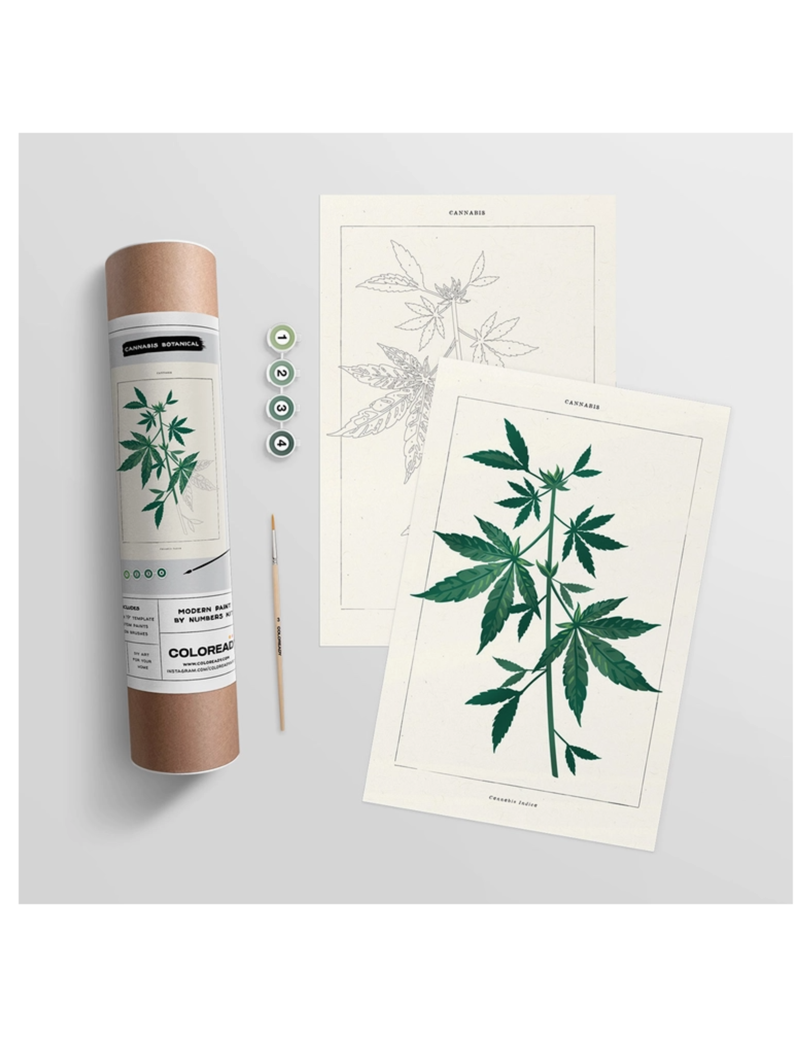 Cannabis Botanical - Paint By Numbers  Kit
