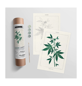 Cannabis Botanical - Paint By Numbers  Kit