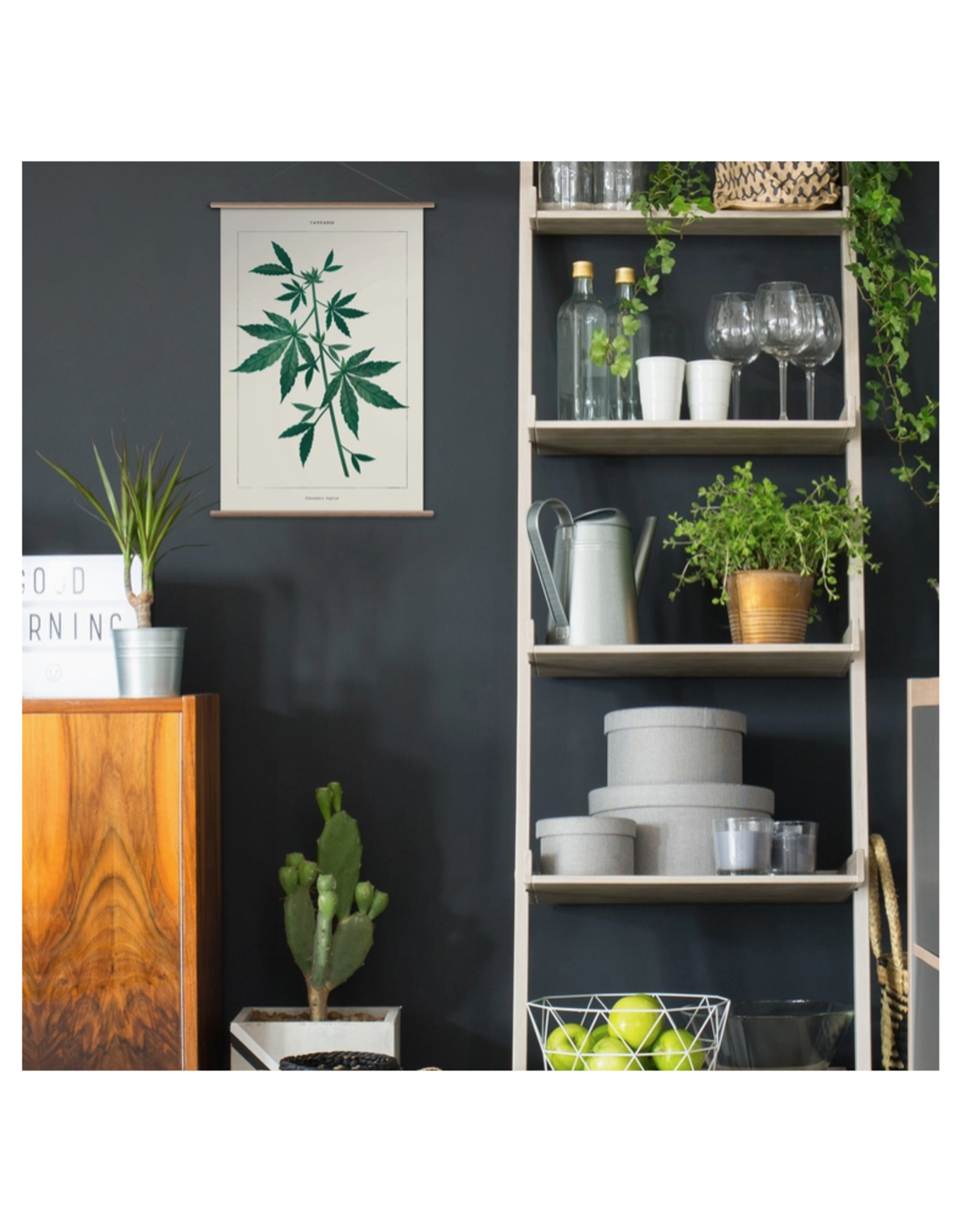 Cannabis Botanical - Paint By Numbers  Kit