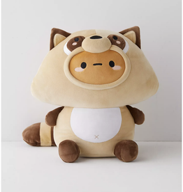 Raccoon Tayto Plush