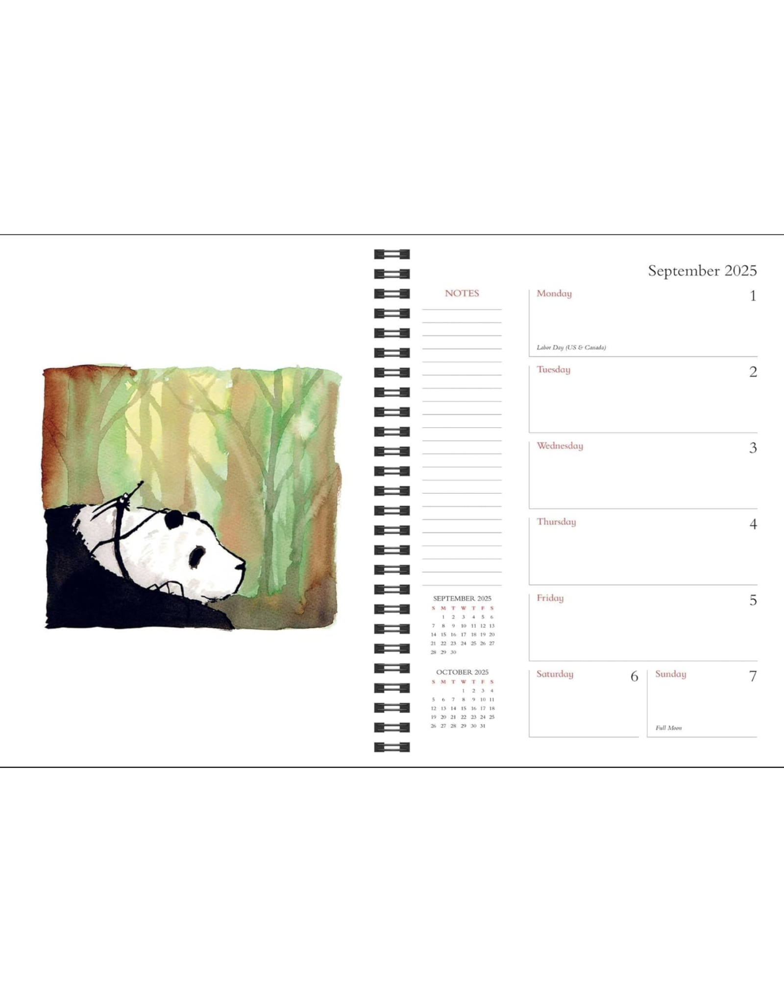 Big Panda and Tiny Dragon 12 Month Planner 2025 *