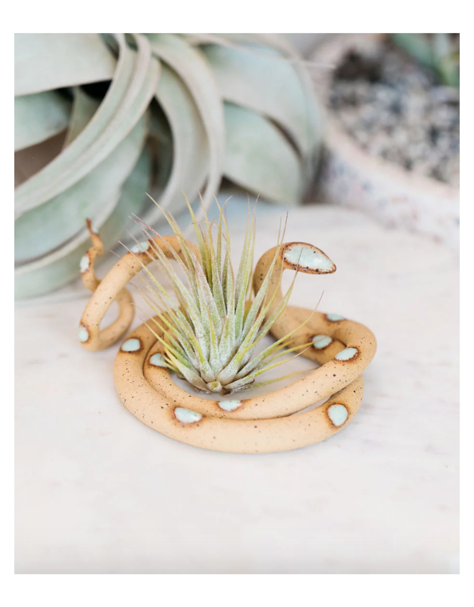 Medium Tabletop Ceramic Snake - Selma