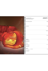Chihuly Weekly Hardcover Planner 2025 *