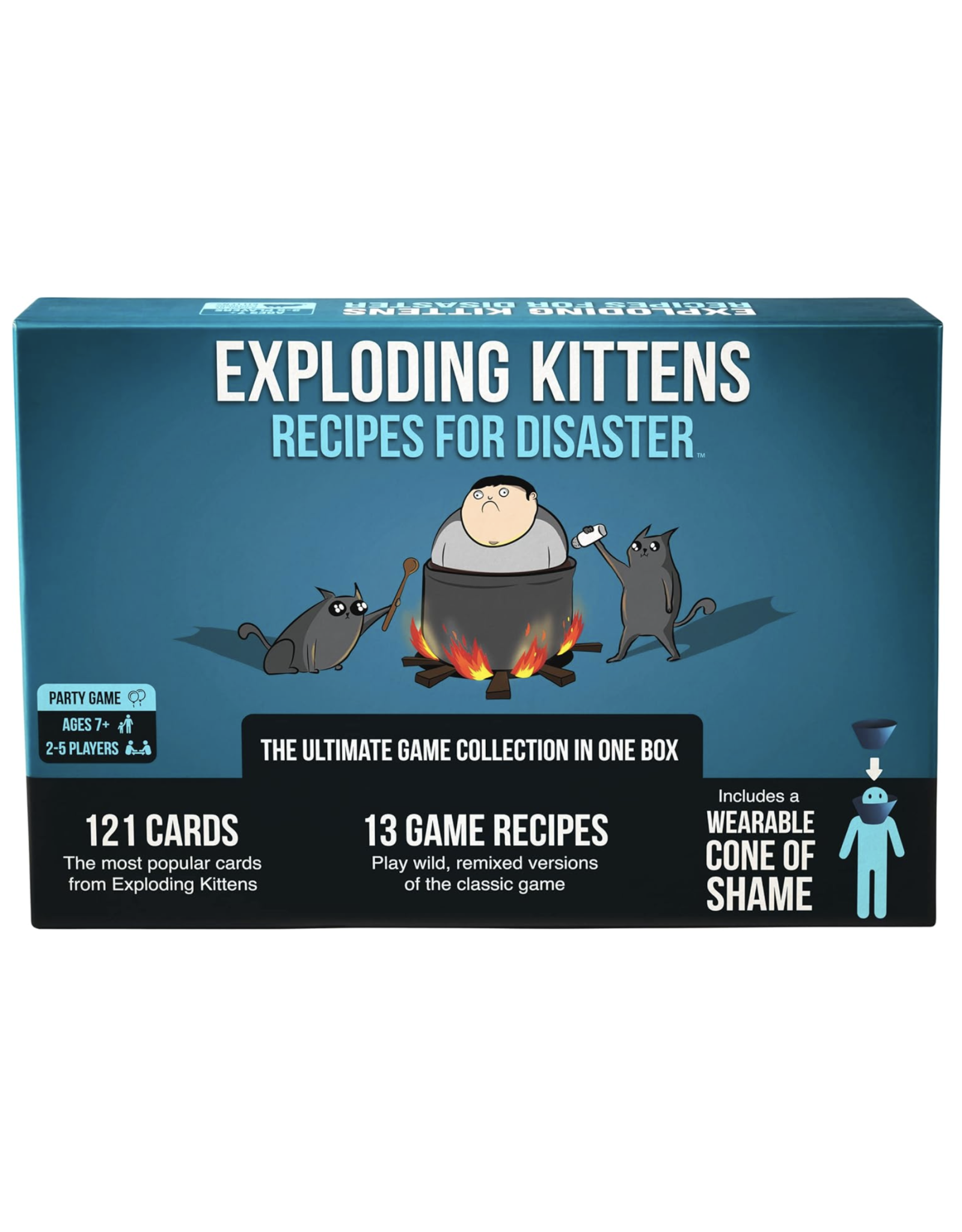 Exploding Kittens: Recipes for Diaster